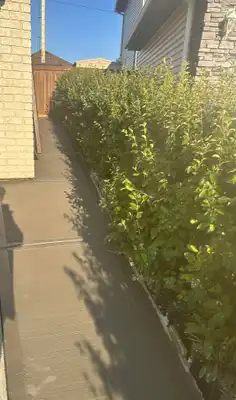 Landscaping Company (2)