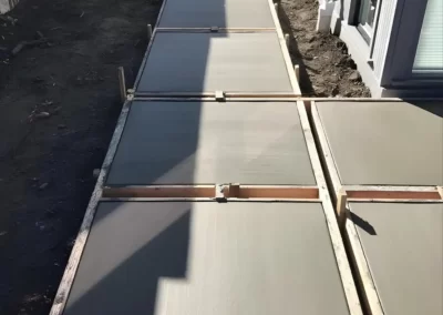 Professional Landscaping Company