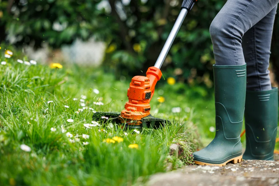 Local Lawn Care Services Calgary, AB Local Lawn Care Services Calgary, AB