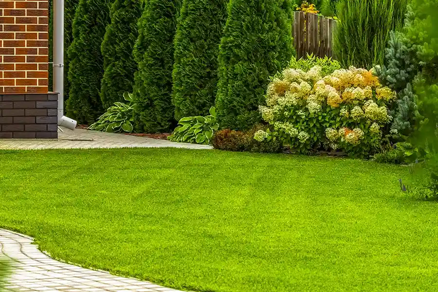 Professional Lawn Care Services Calgary, AB Professional Lawn Care Services Calgary, AB