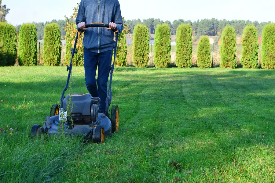 Seasonal Considerations For Effective Lawn Mowing Calgary, AB Seasonal Considerations For Effective Lawn Mowing Calgary, AB