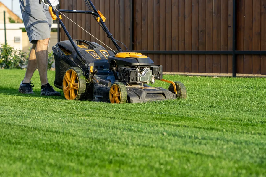 The Impact Of Grass Height On Lawn Health And Aesthetics Calgary, AB The Impact Of Grass Height On Lawn Health And Aesthetics Calgary, AB